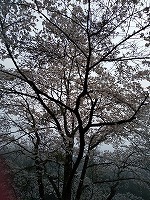 DSC_0935.jpg